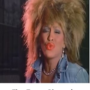 tina turner biography